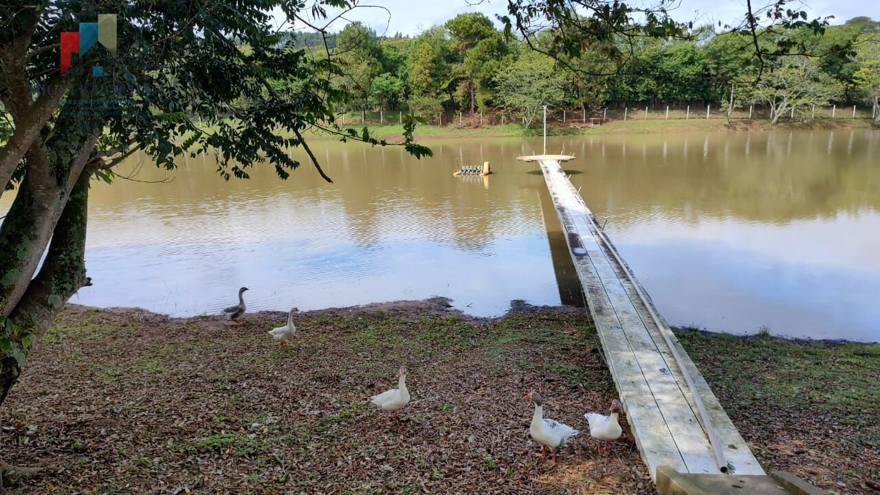 Fazenda à venda com 2 quartos, 1234200m² - Foto 5