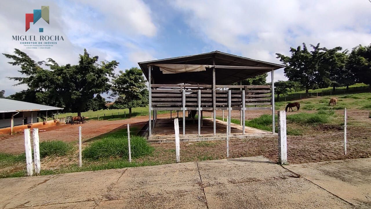 Fazenda à venda com 2 quartos, 1234200m² - Foto 12