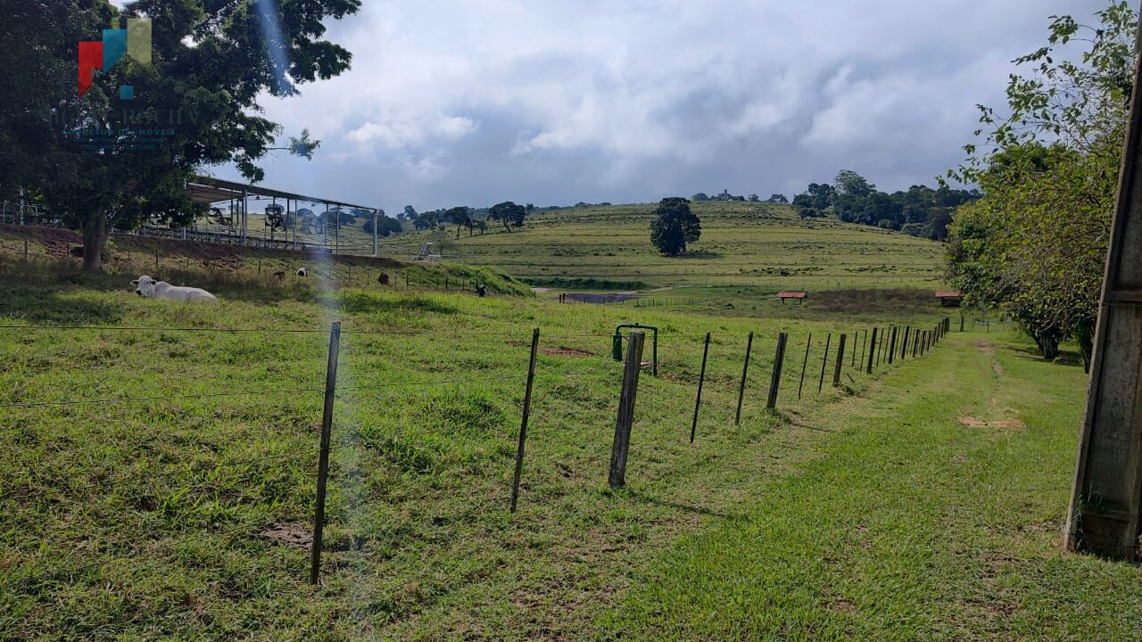 Fazenda à venda com 2 quartos, 1234200m² - Foto 13