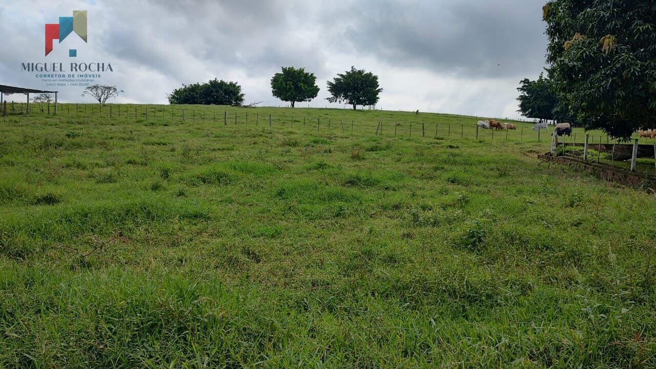 Fazenda à venda com 2 quartos, 1234200m² - Foto 8