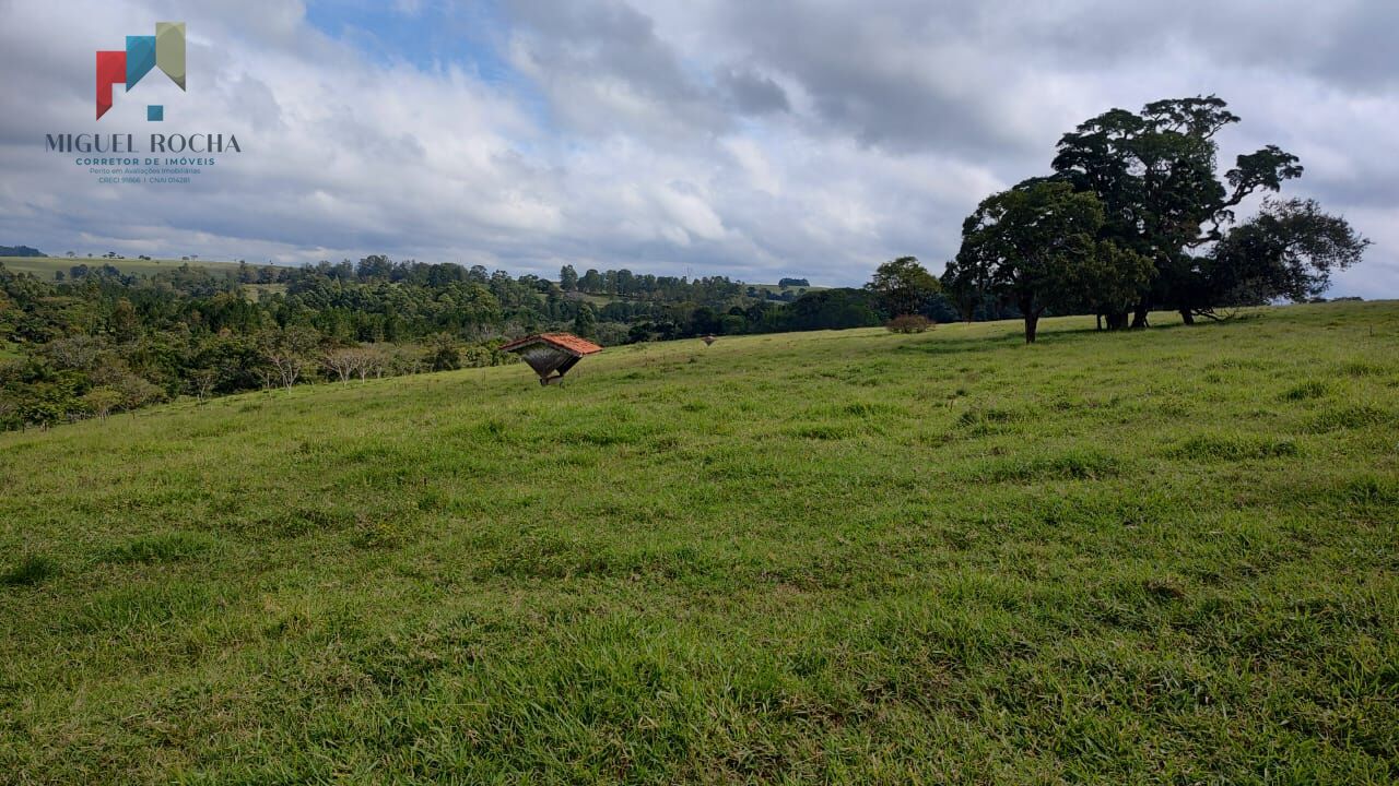 Fazenda à venda com 2 quartos, 1234200m² - Foto 7