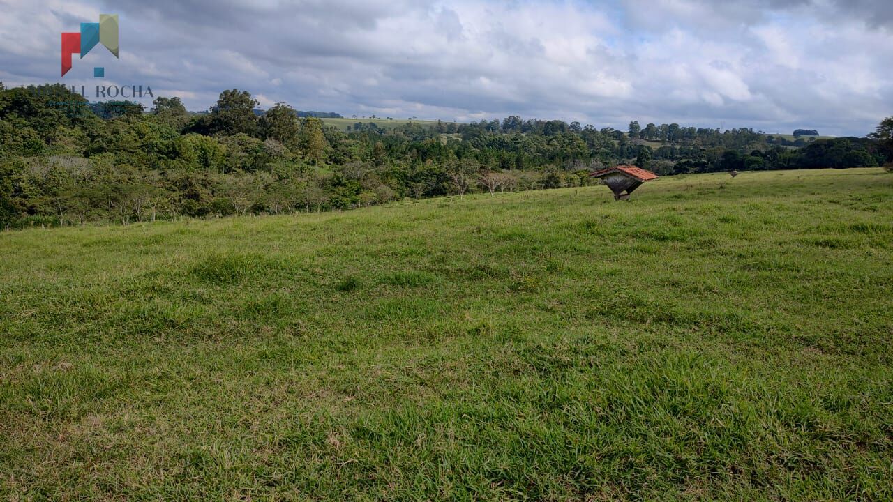 Fazenda à venda com 2 quartos, 1234200m² - Foto 11