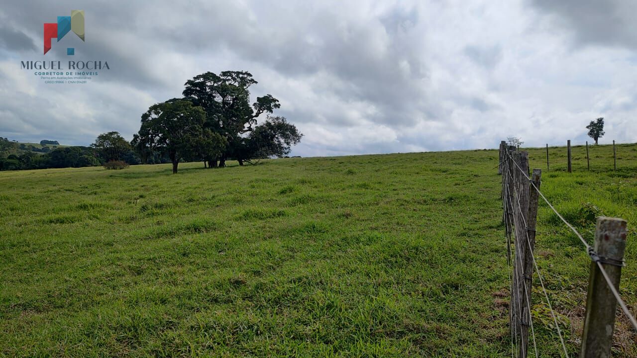 Fazenda à venda com 2 quartos, 1234200m² - Foto 14