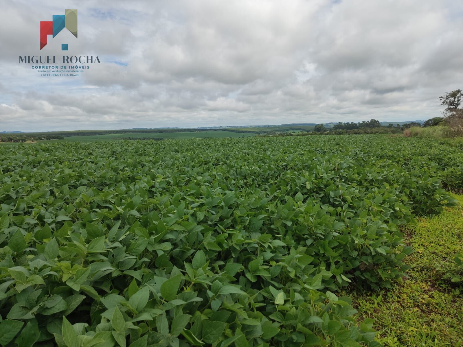 Fazenda à venda com 2 quartos, 3509000m² - Foto 2