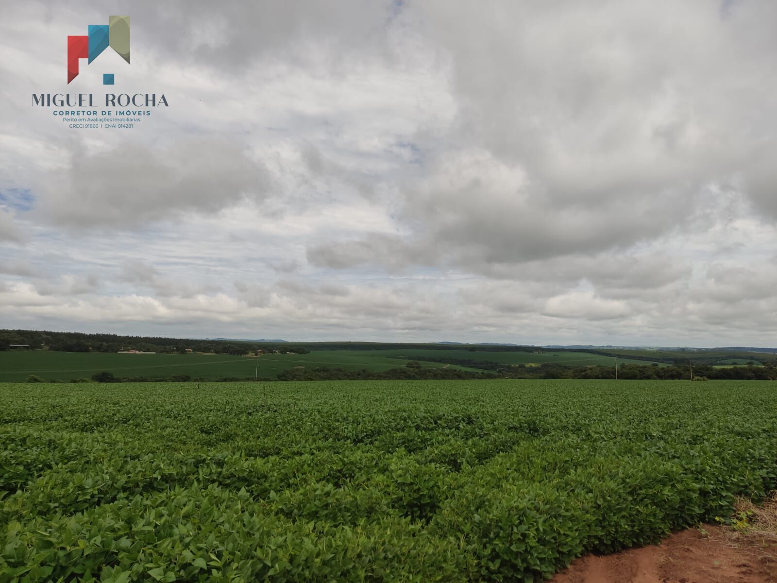 Fazenda à venda com 2 quartos, 3509000m² - Foto 3