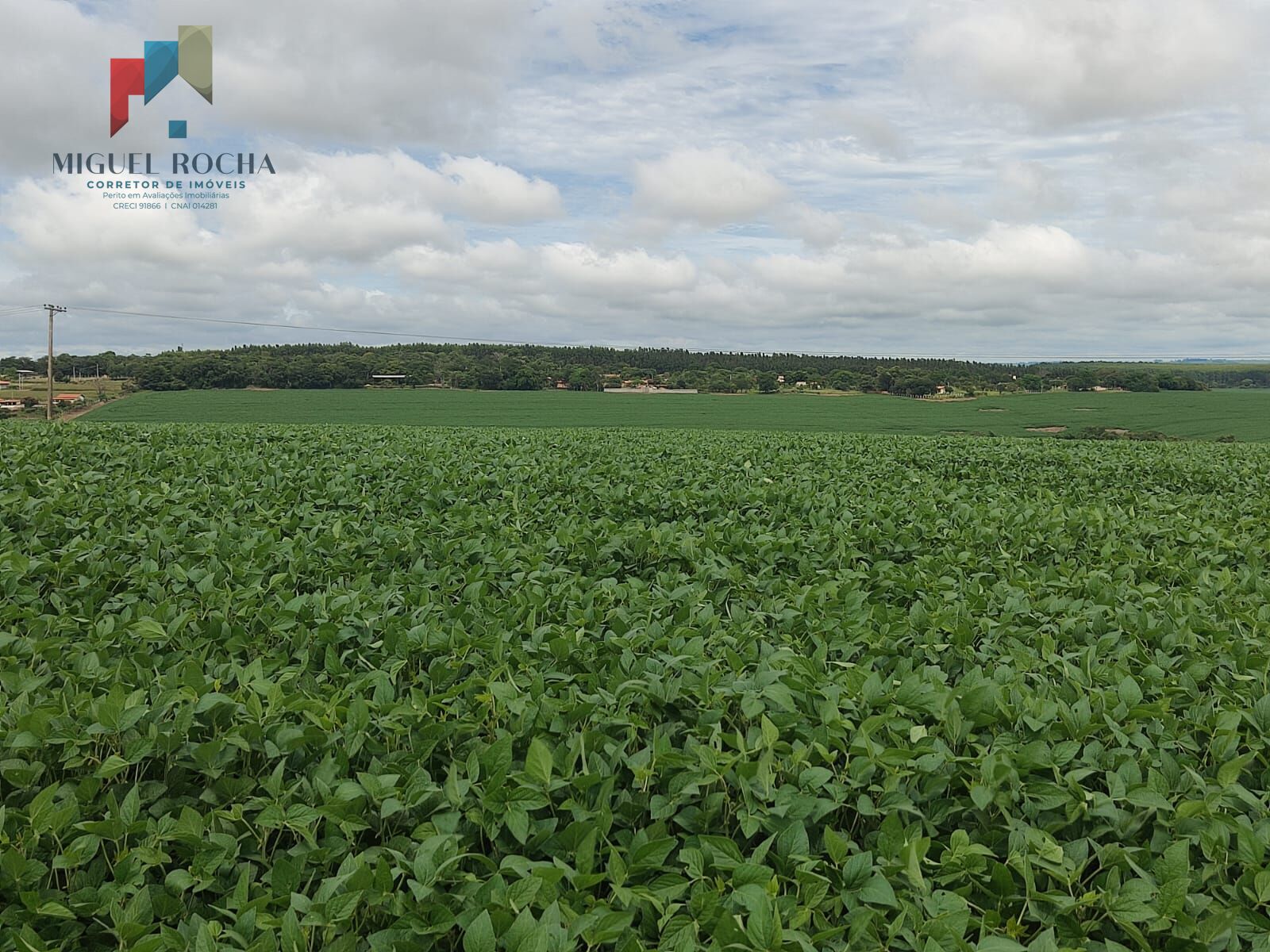 Fazenda à venda com 2 quartos, 3509000m² - Foto 5