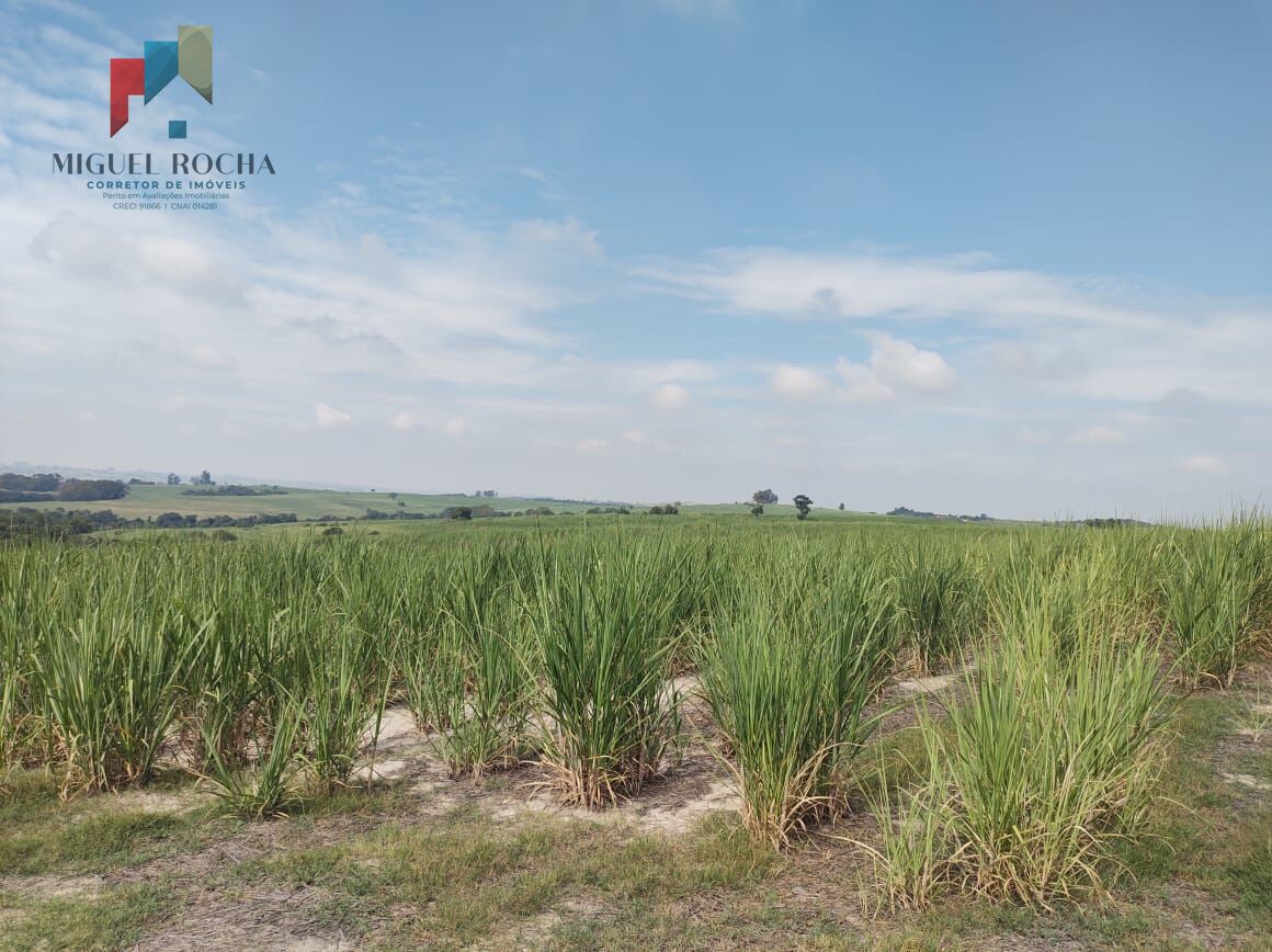 Terreno, 48 hectares - Foto 5