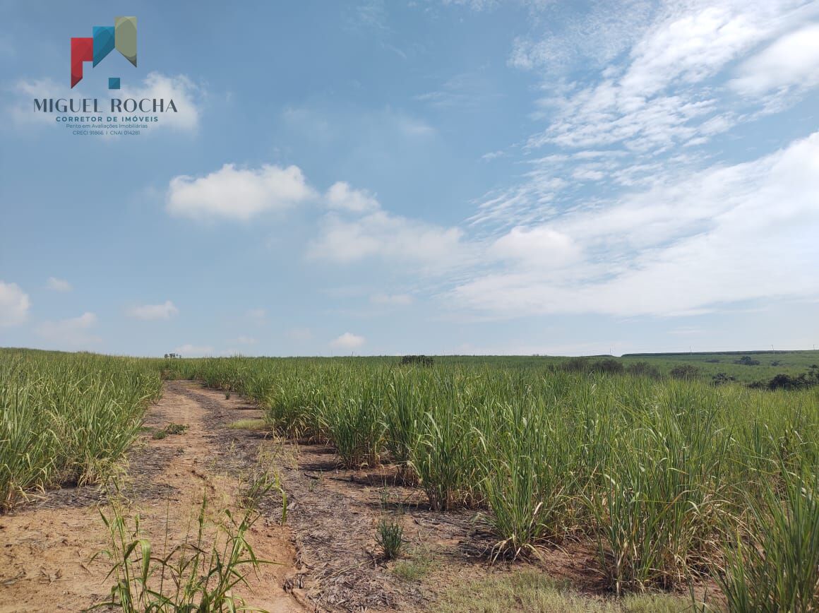 Terreno, 48 hectares - Foto 2