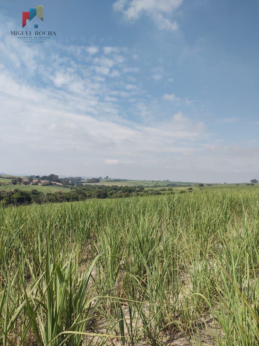 Terreno, 48 hectares - Foto 4