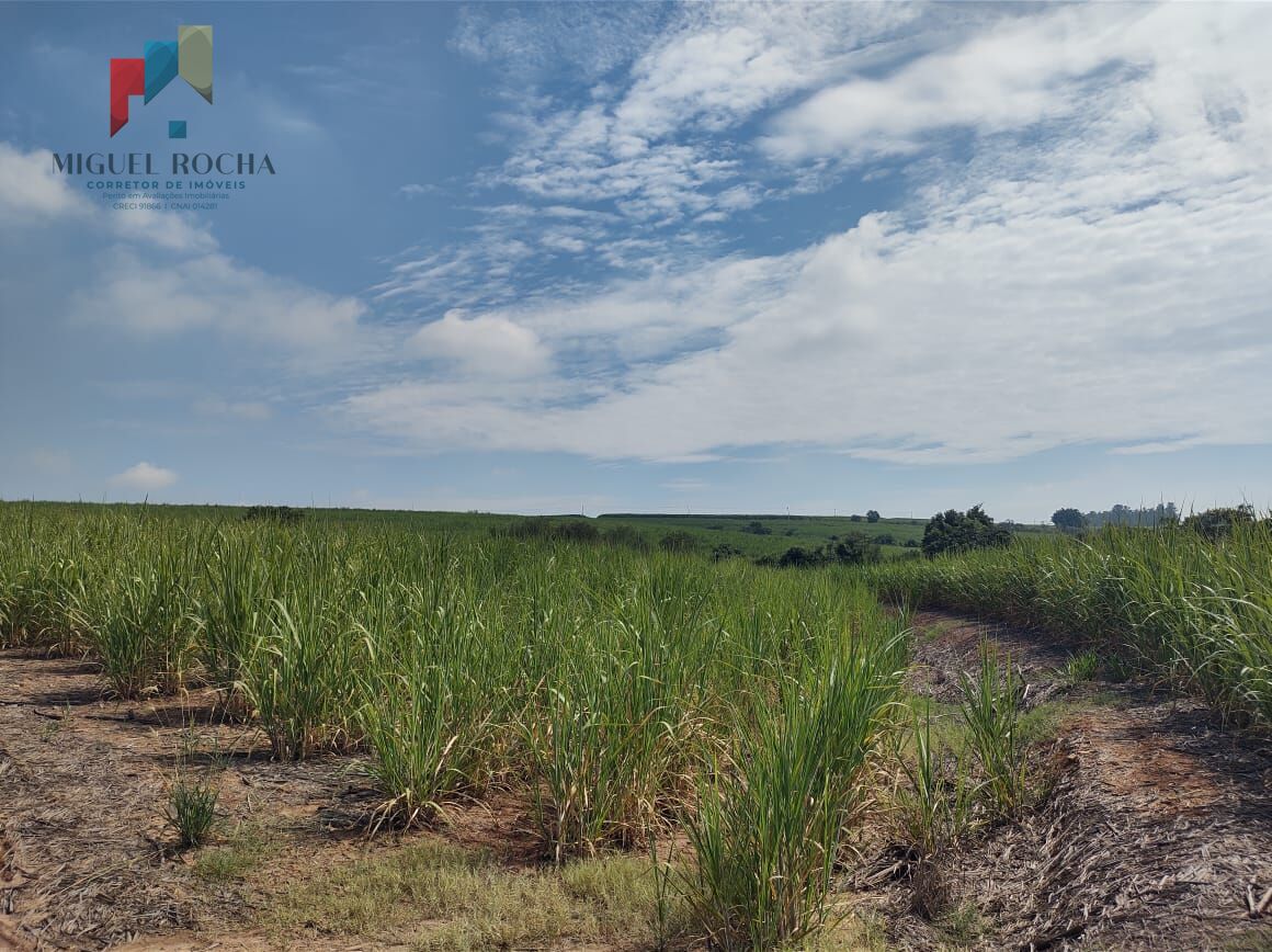 Terreno, 48 hectares - Foto 3