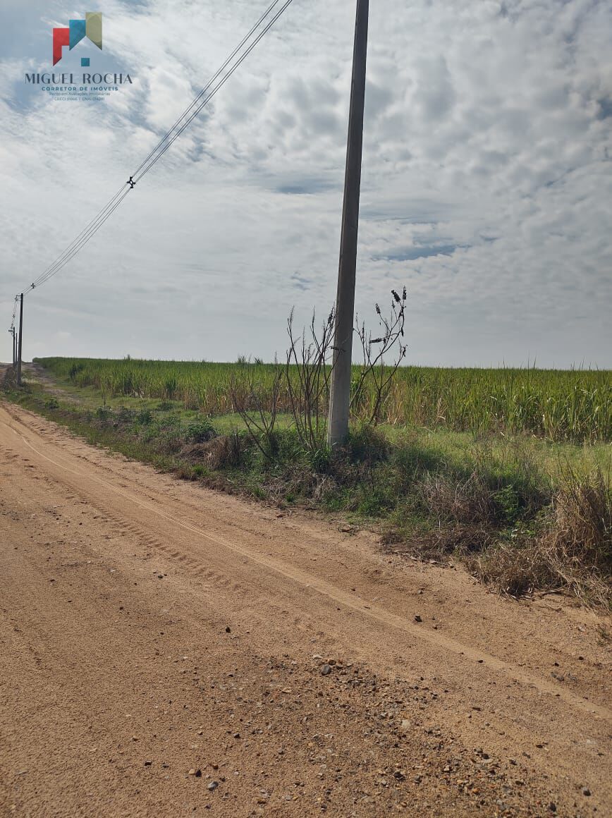 Terreno, 48 hectares - Foto 1