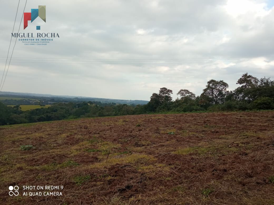 Fazenda à venda com 3 quartos, 96800m² - Foto 7