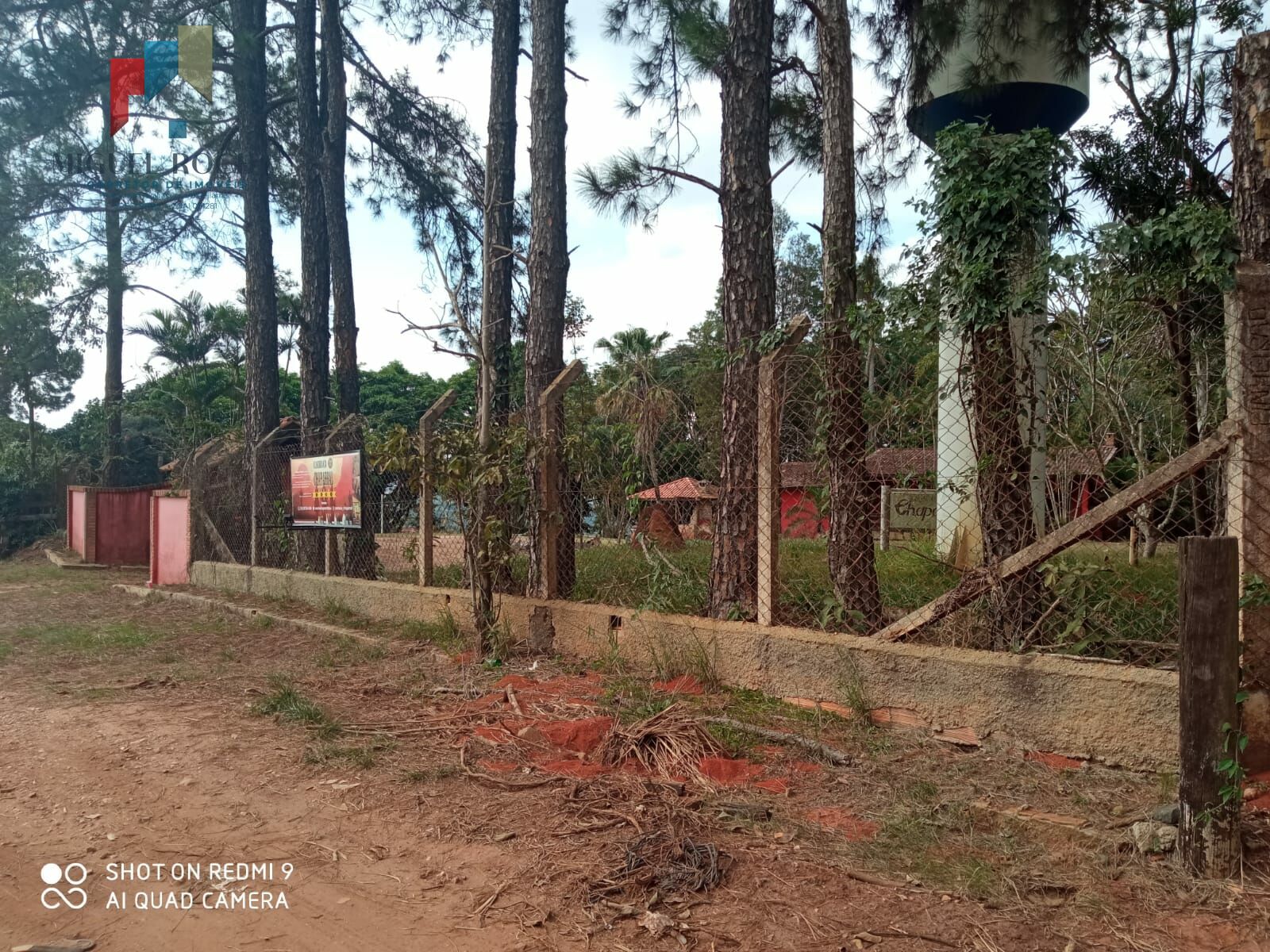 Fazenda à venda com 3 quartos, 96800m² - Foto 5