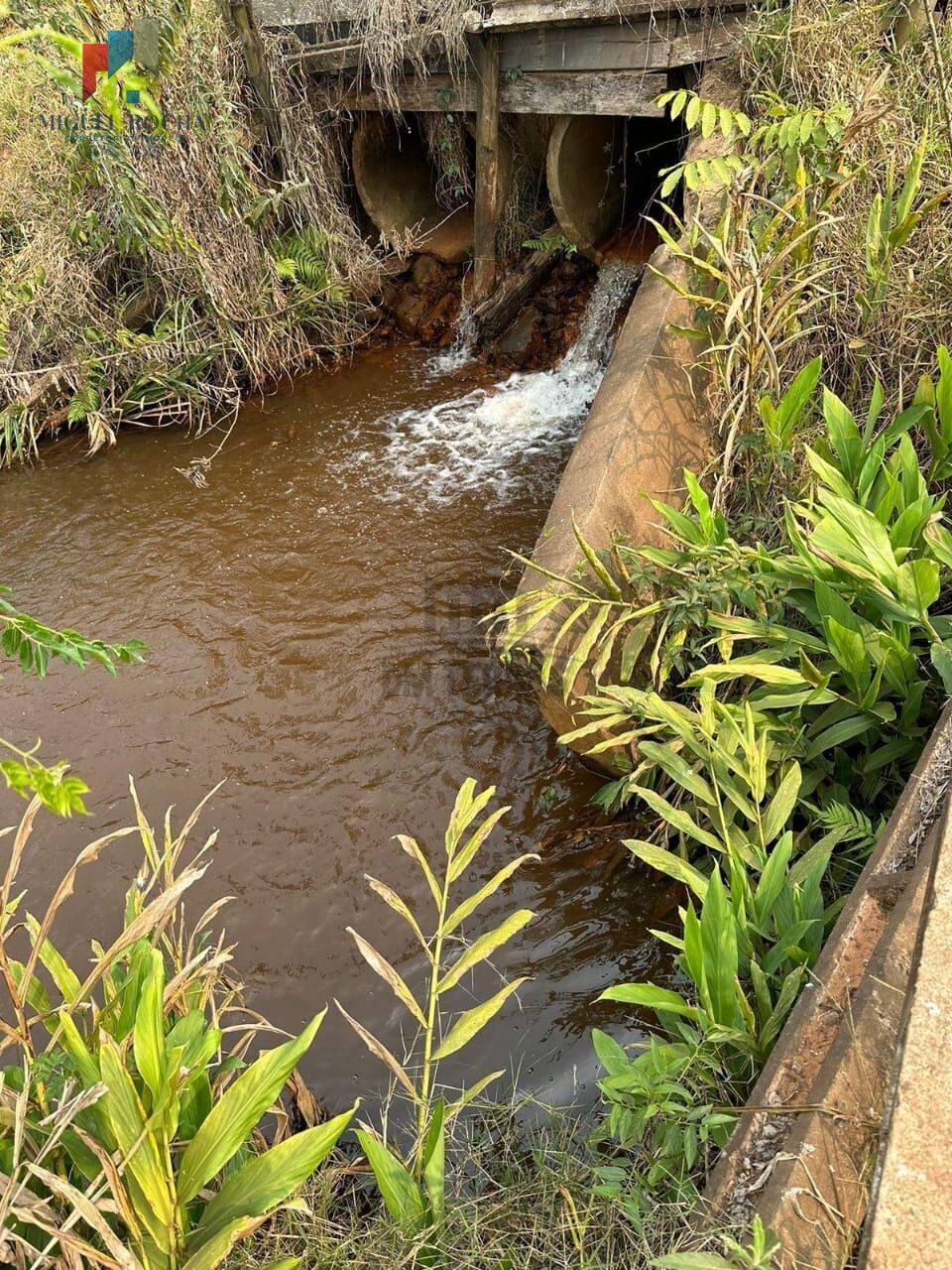 Fazenda à venda com 2 quartos, 3320000m² - Foto 27