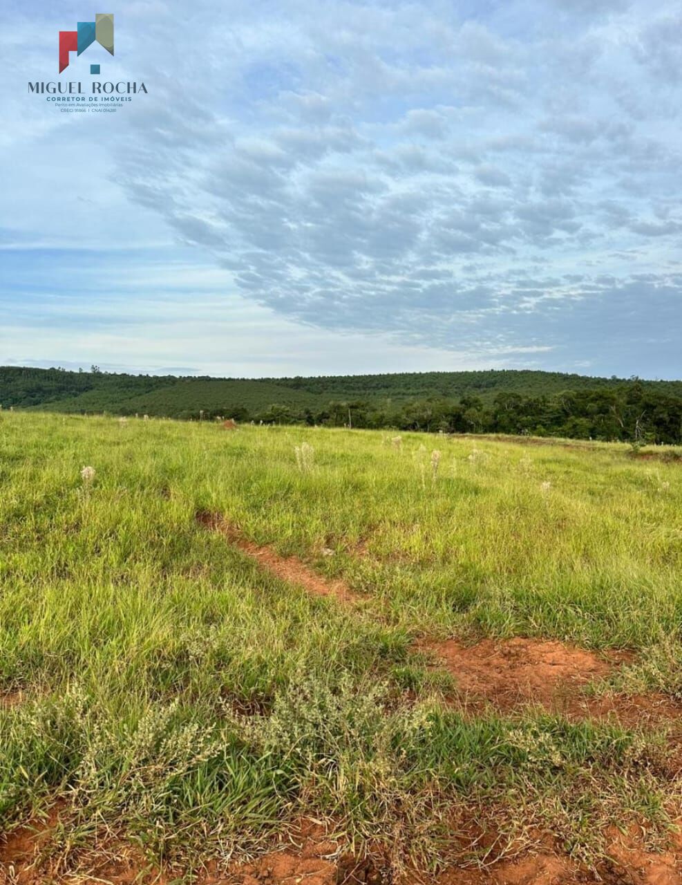 Fazenda à venda com 2 quartos, 3320000m² - Foto 15