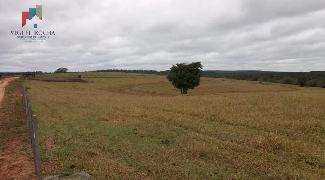 Fazenda à venda com 2 quartos, 3320000m² - Foto 24