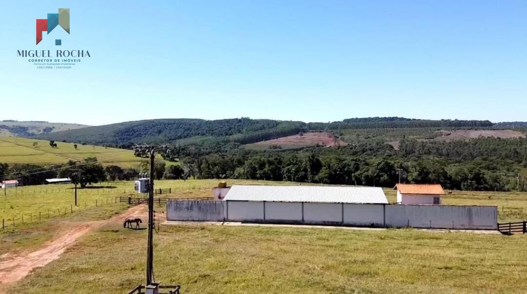 Fazenda à venda com 2 quartos, 3320000m² - Foto 13