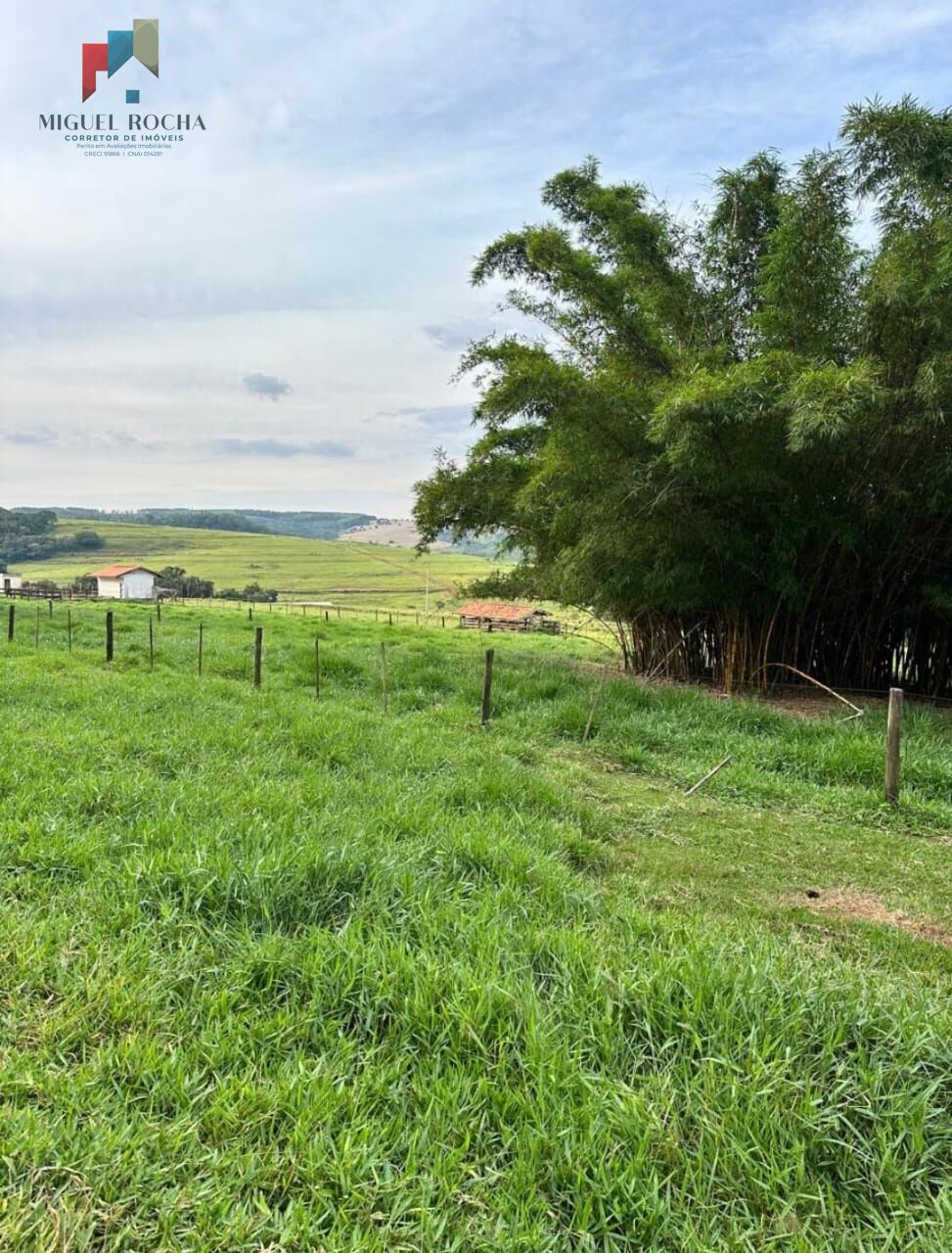 Fazenda à venda com 2 quartos, 3320000m² - Foto 18