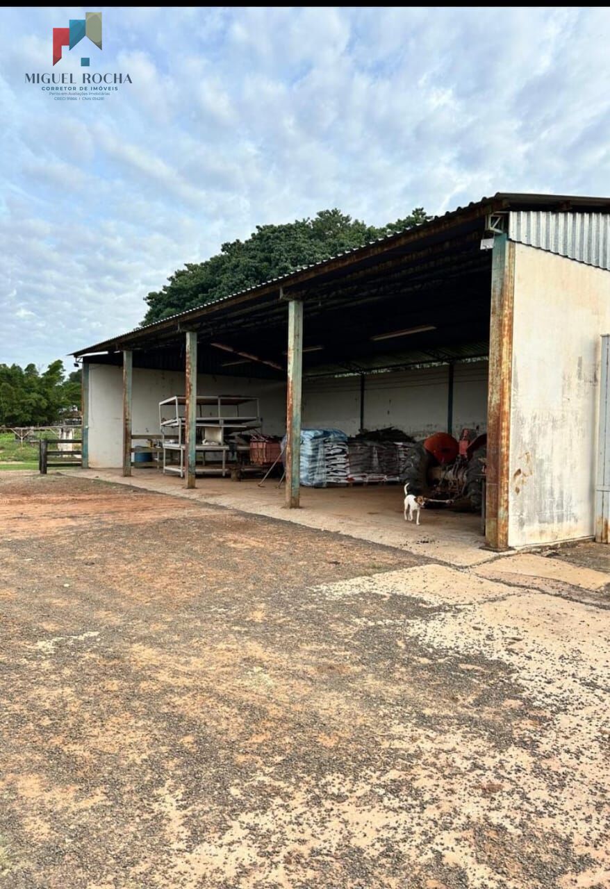 Fazenda à venda com 2 quartos, 3320000m² - Foto 29