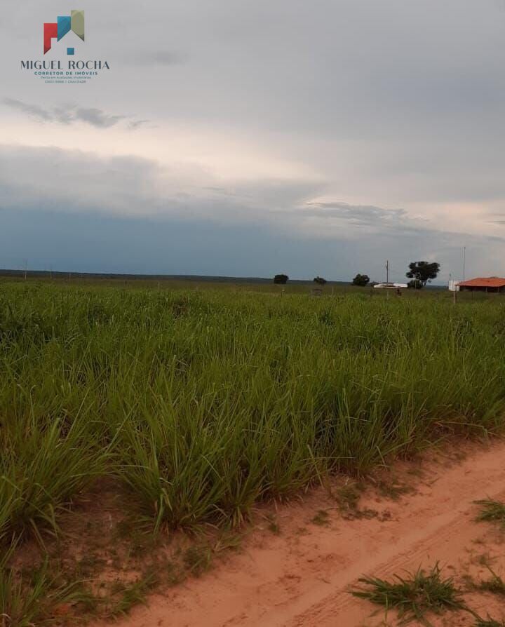 Fazenda à venda com 2 quartos, 3320000m² - Foto 33