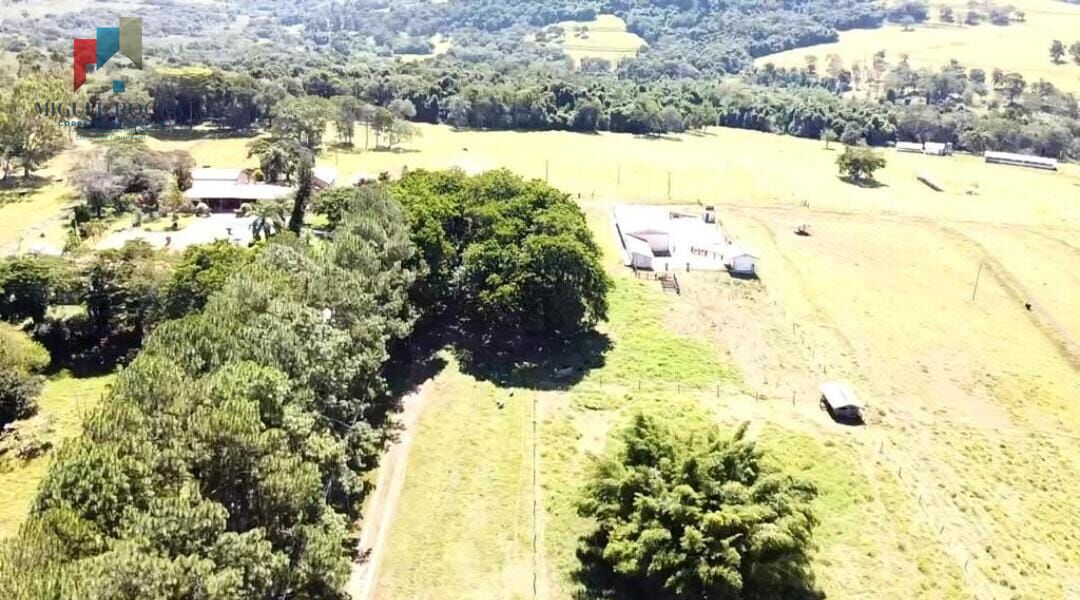 Fazenda à venda com 2 quartos, 3320000m² - Foto 11