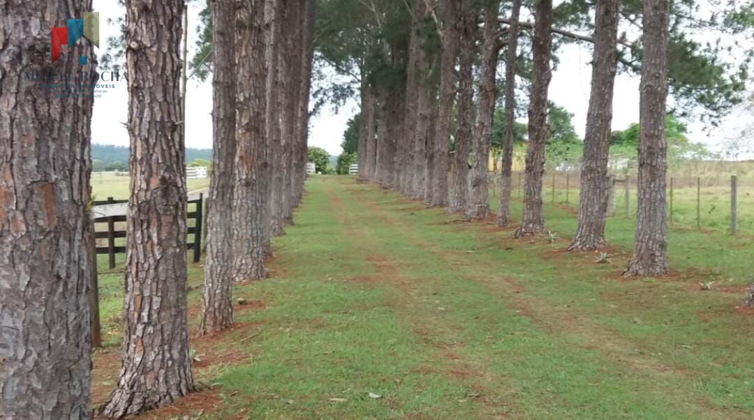 Fazenda à venda com 2 quartos, 3320000m² - Foto 21