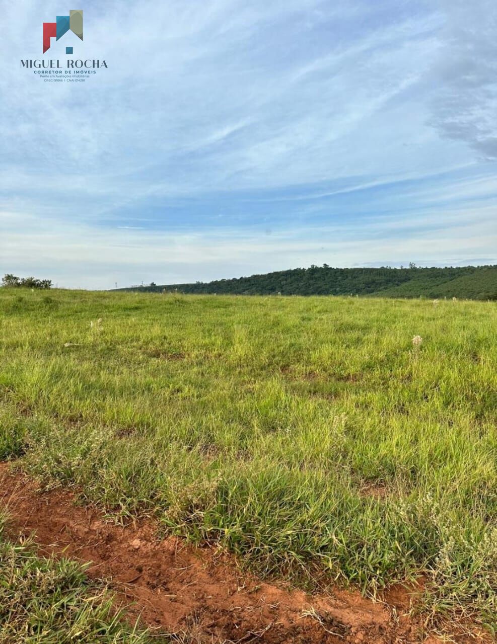 Fazenda à venda com 2 quartos, 3320000m² - Foto 14