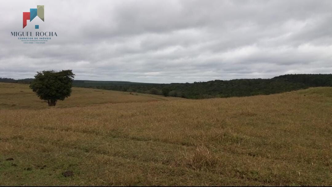 Fazenda à venda com 2 quartos, 3320000m² - Foto 17