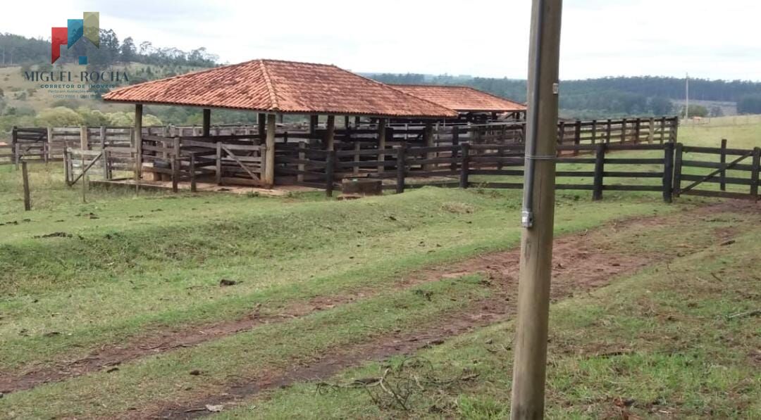 Fazenda à venda com 2 quartos, 3320000m² - Foto 32