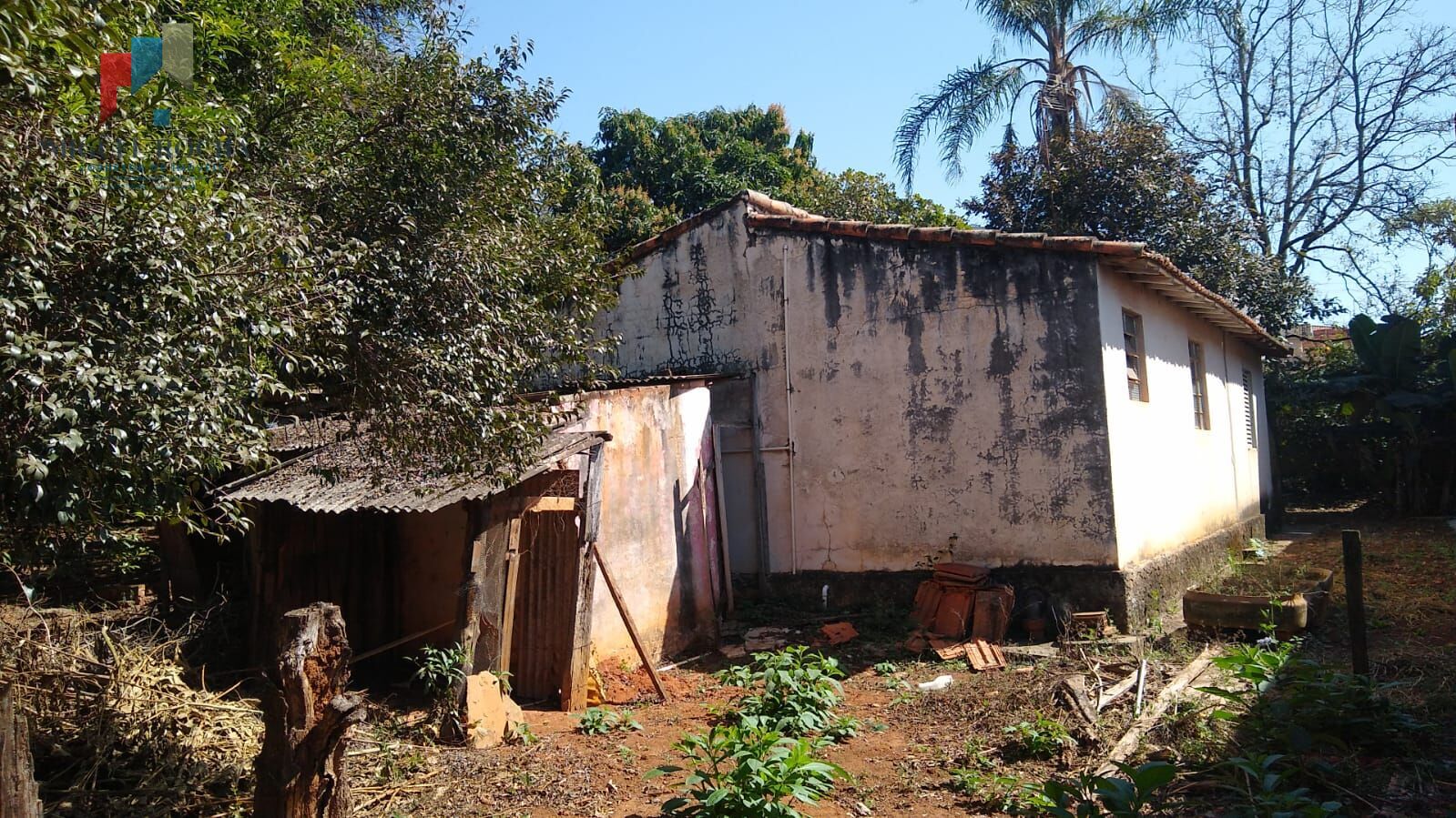 Fazenda à venda com 1 quarto, 1000m² - Foto 8