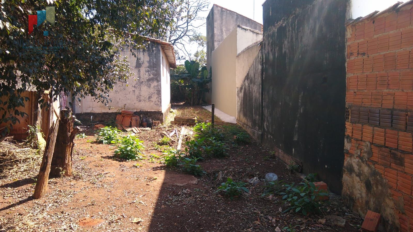 Fazenda à venda com 1 quarto, 1000m² - Foto 6