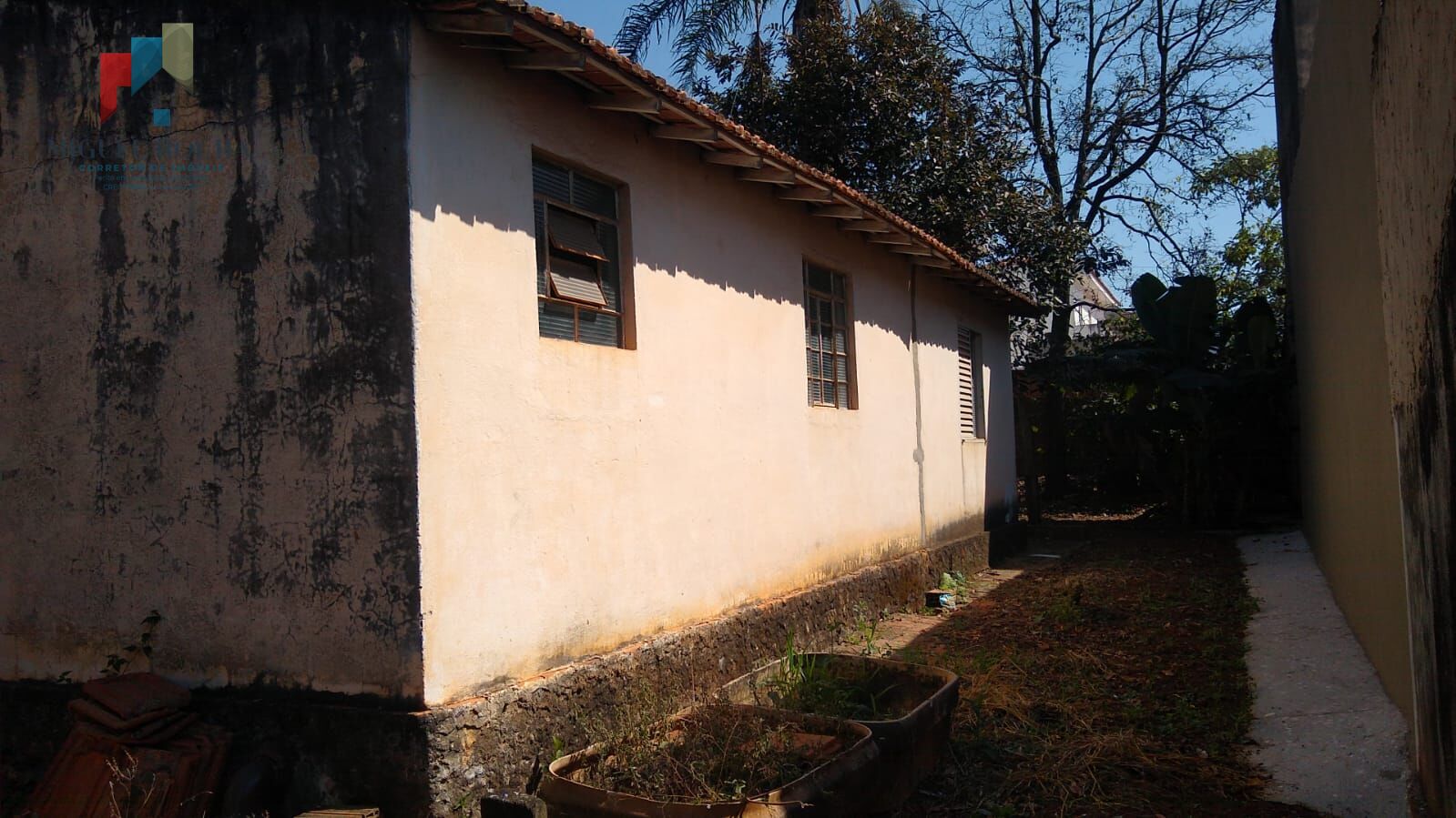 Fazenda à venda com 1 quarto, 1000m² - Foto 7