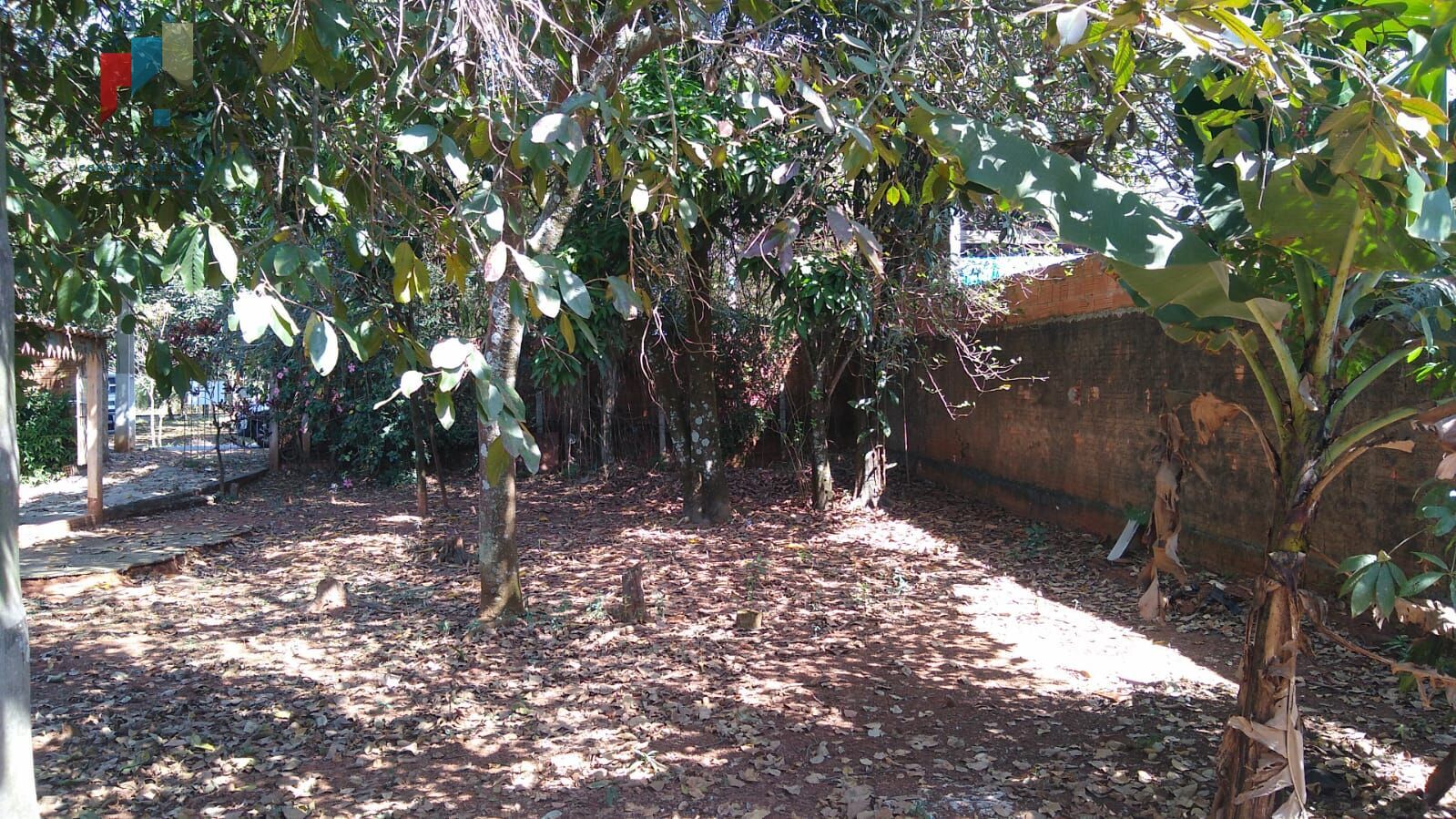 Fazenda à venda com 1 quarto, 1000m² - Foto 13