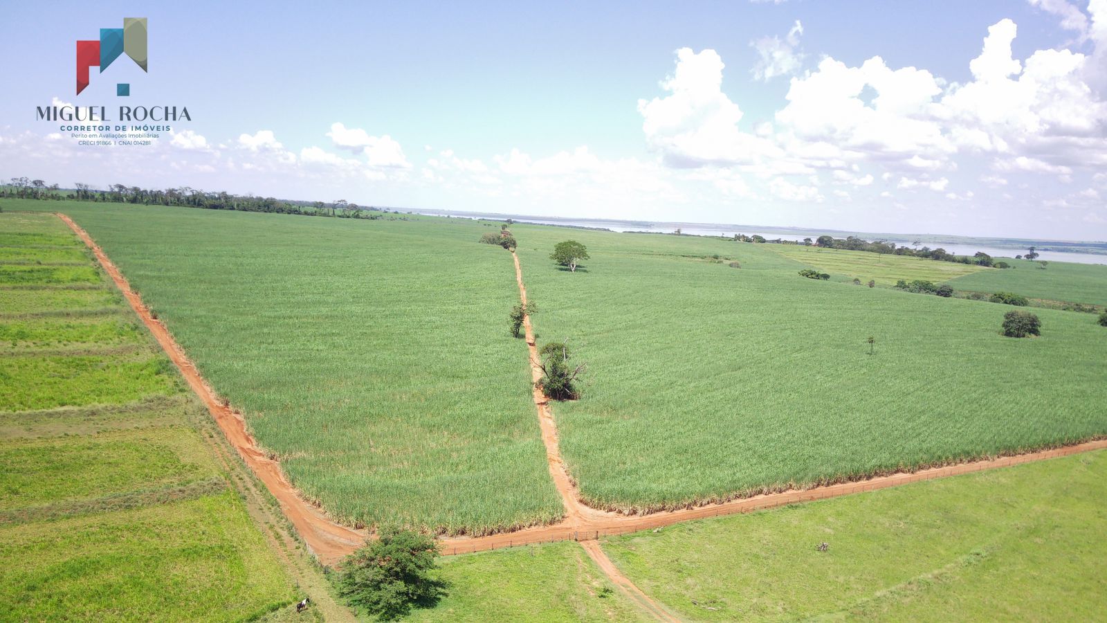 Fazenda à venda com 2 quartos, 4912600m² - Foto 5