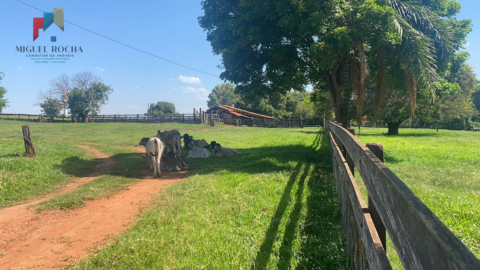 Fazenda à venda com 2 quartos, 4912600m² - Foto 14