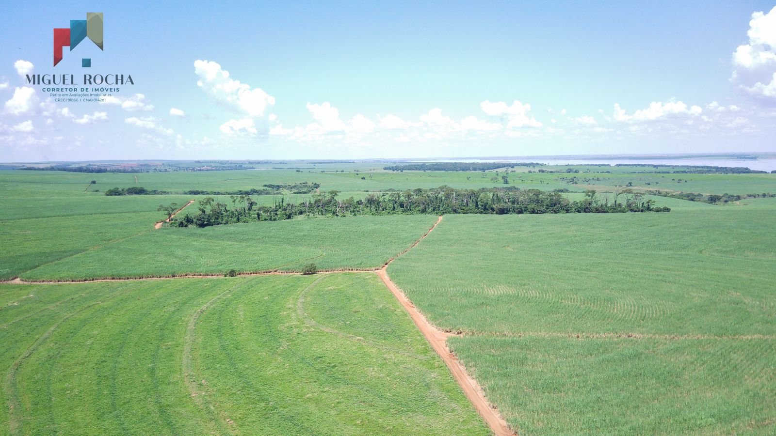 Fazenda à venda com 2 quartos, 4912600m² - Foto 4