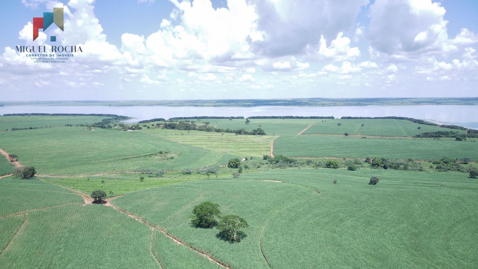 Fazenda à venda com 2 quartos, 4912600m² - Foto 6