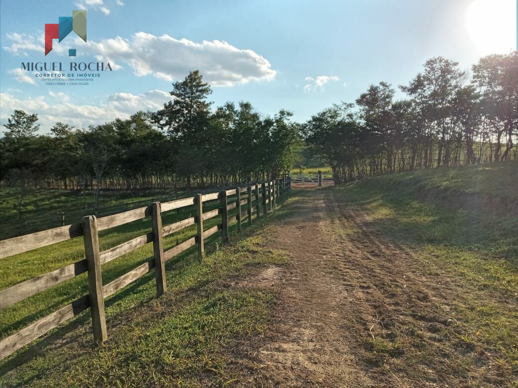 Fazenda à venda com 2 quartos, 363000m² - Foto 9