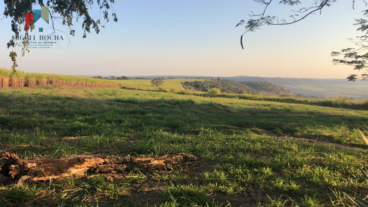 Fazenda à venda com 1 quarto, 3000800m² - Foto 3