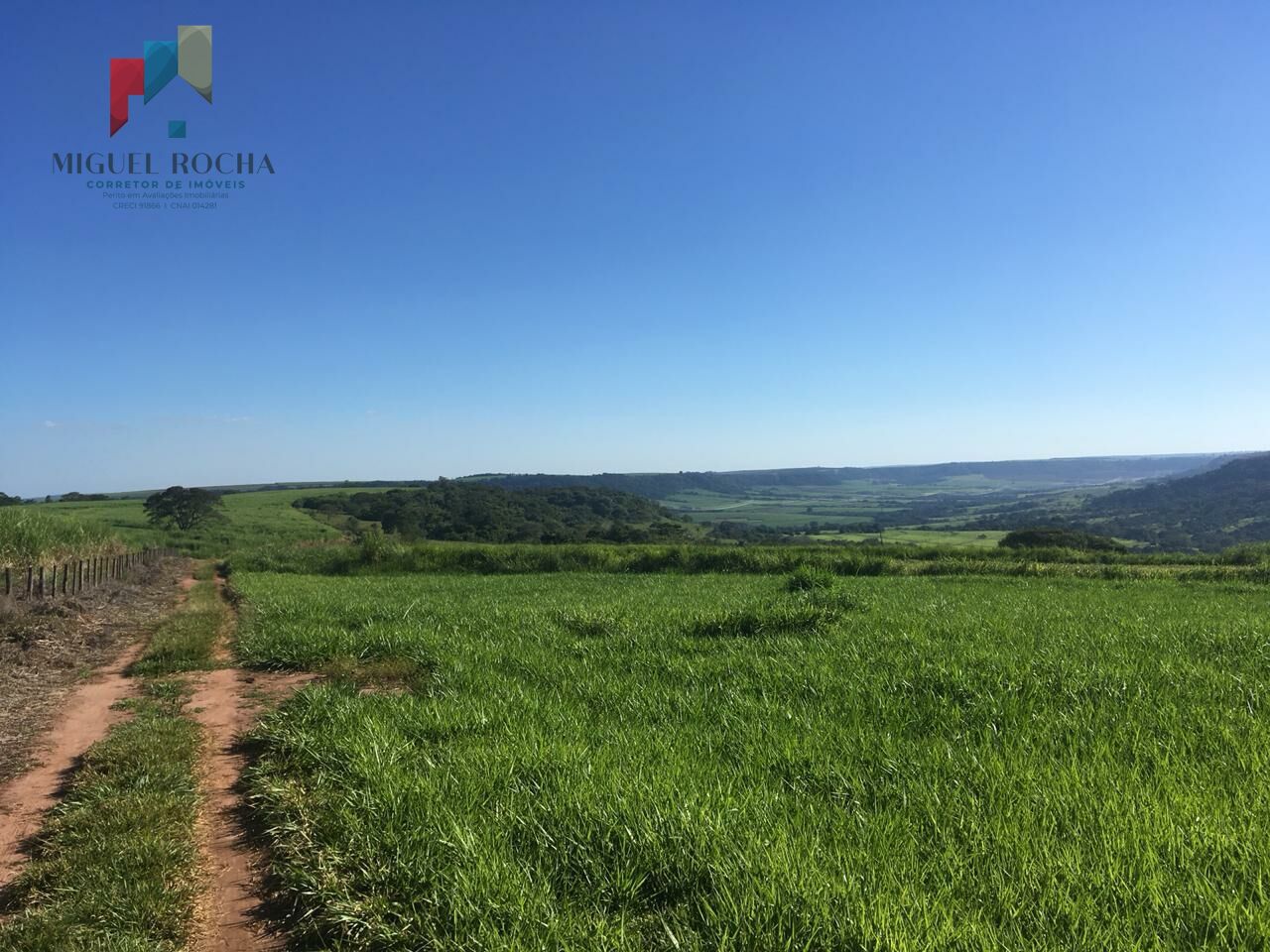 Fazenda à venda com 1 quarto, 3000800m² - Foto 2
