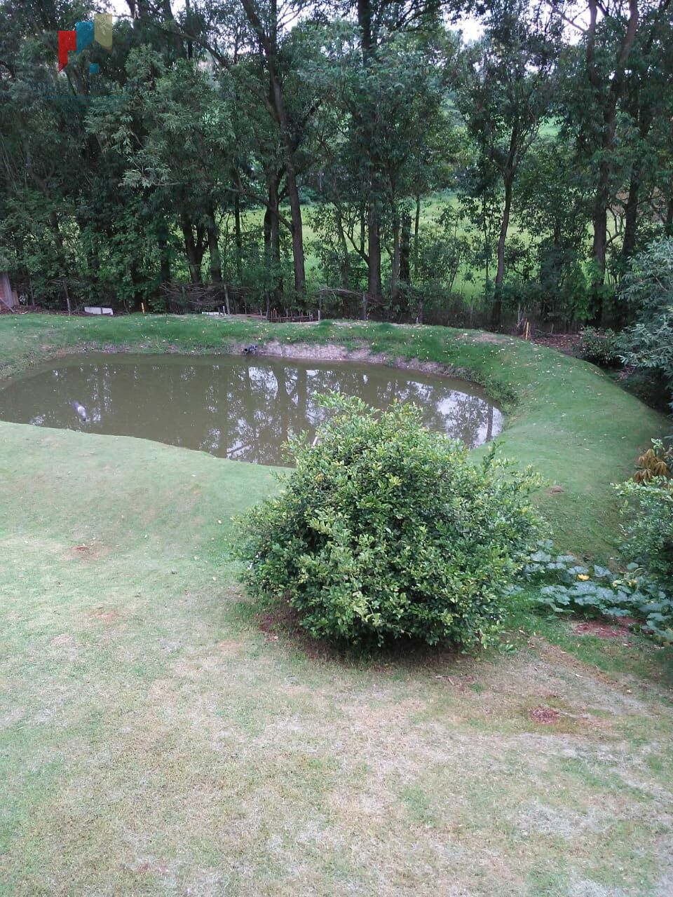 Fazenda à venda com 3 quartos, 1500m² - Foto 14