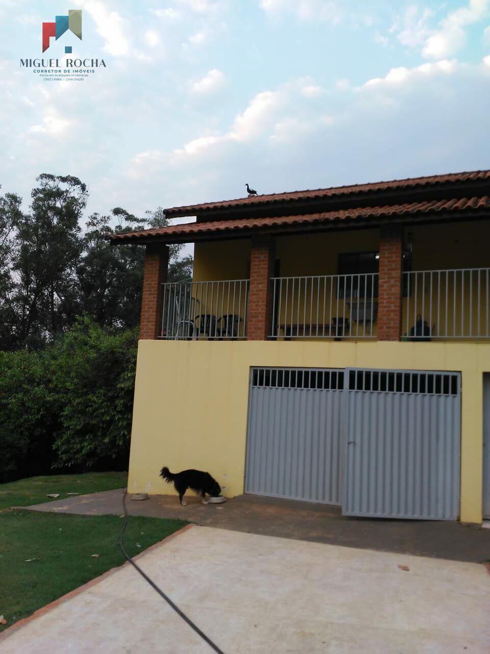 Fazenda à venda com 3 quartos, 1500m² - Foto 7