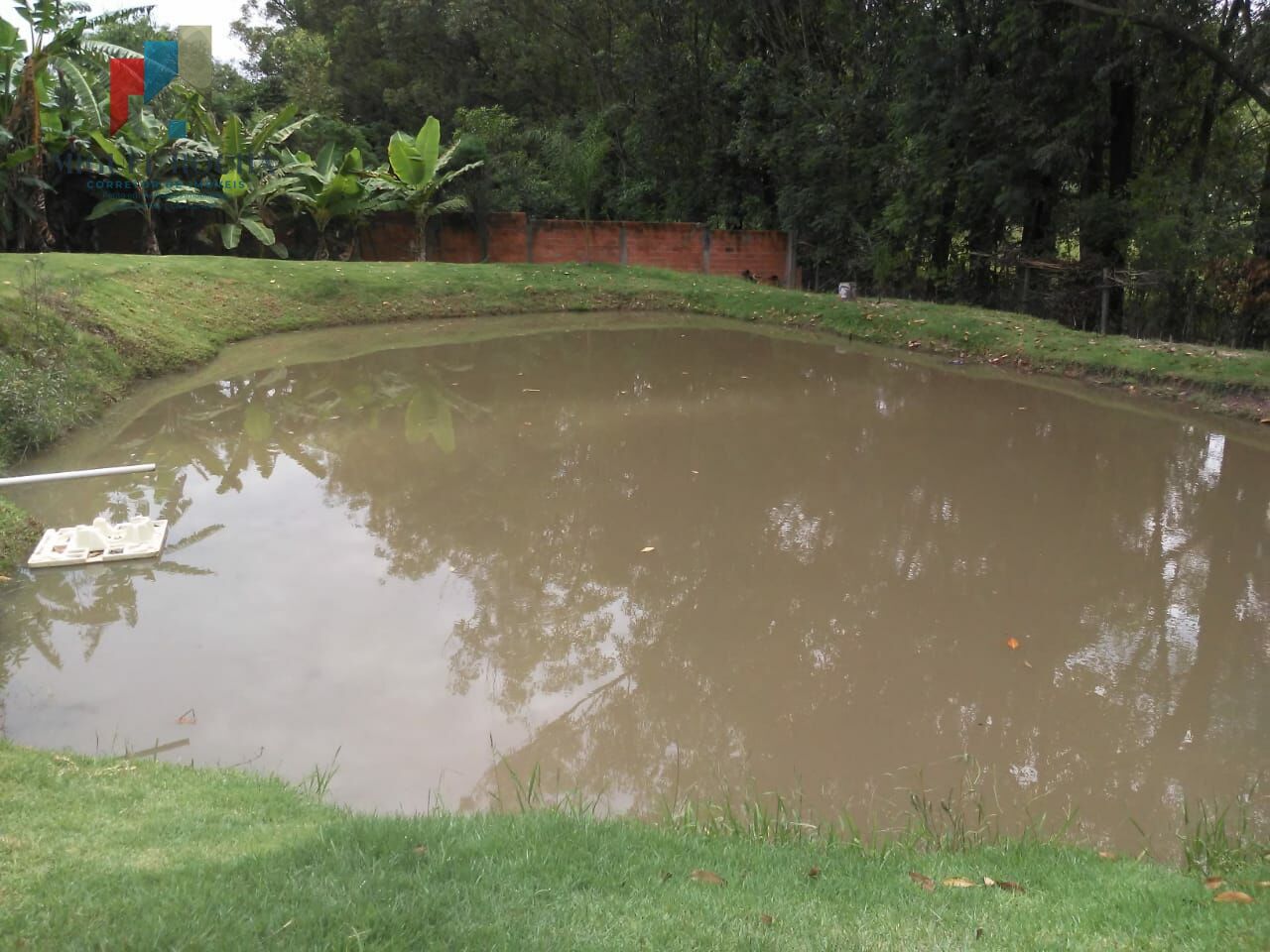 Fazenda à venda com 3 quartos, 1500m² - Foto 16