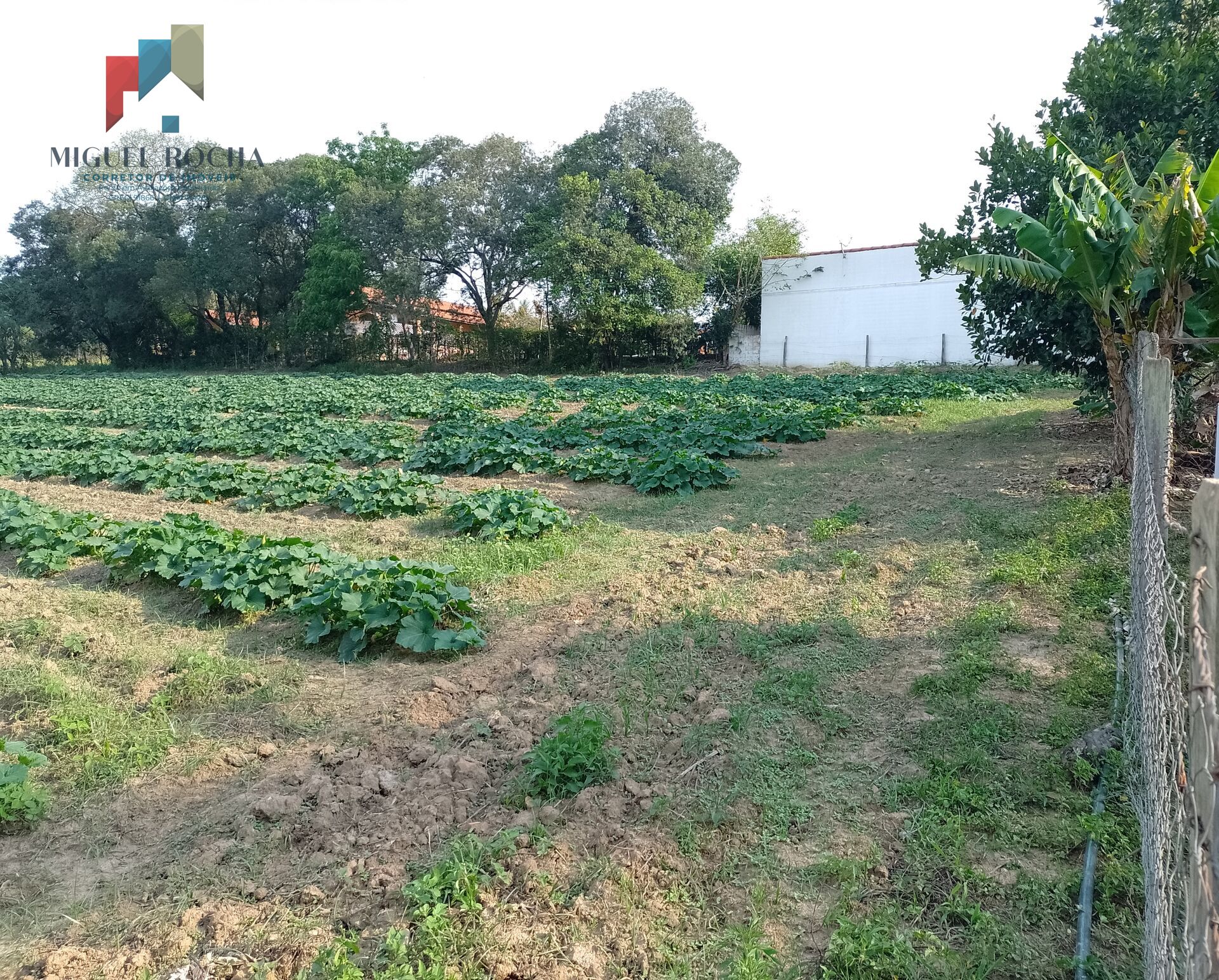 Terreno à venda no bairro Santuário - Tatuí/SP