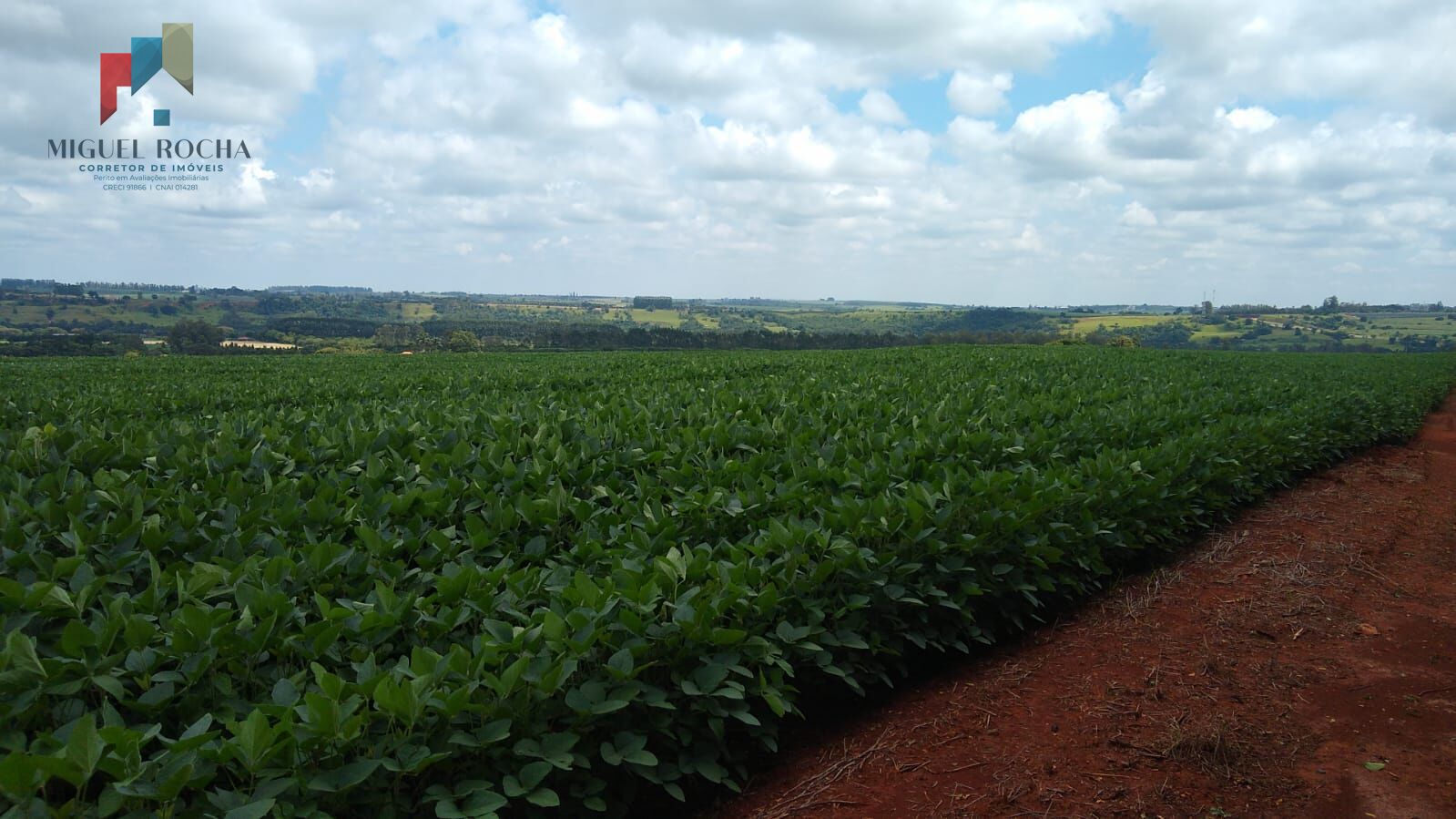 Fazenda à venda, 484000m² - Foto 5