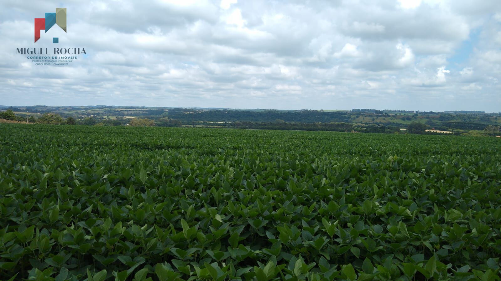 Fazenda à venda, 484000m² - Foto 6