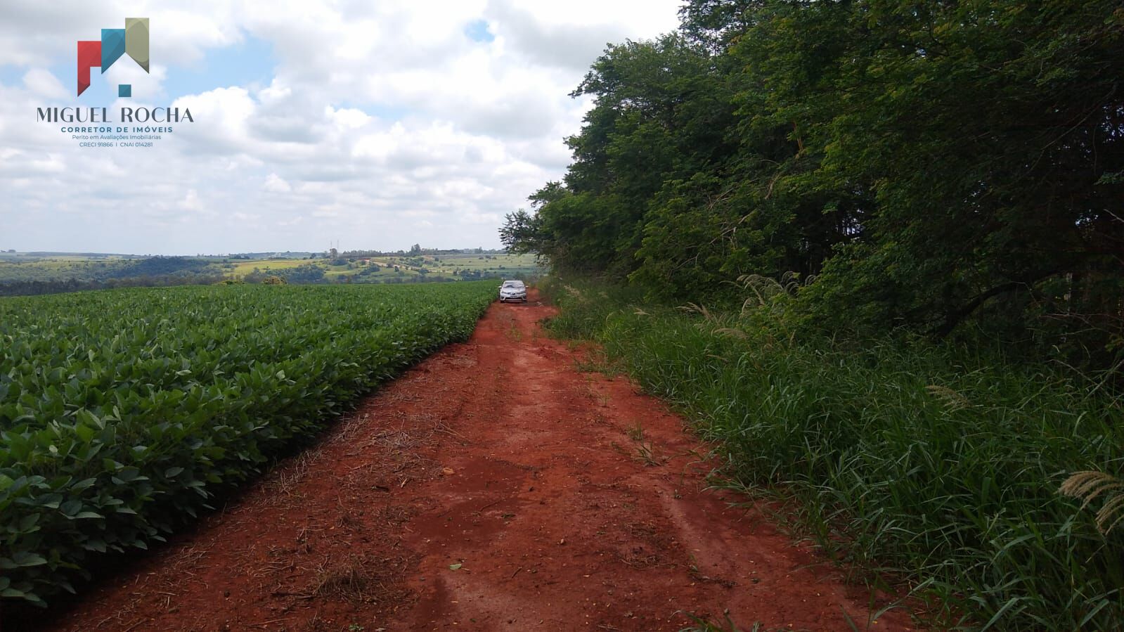 Fazenda à venda, 484000m² - Foto 7