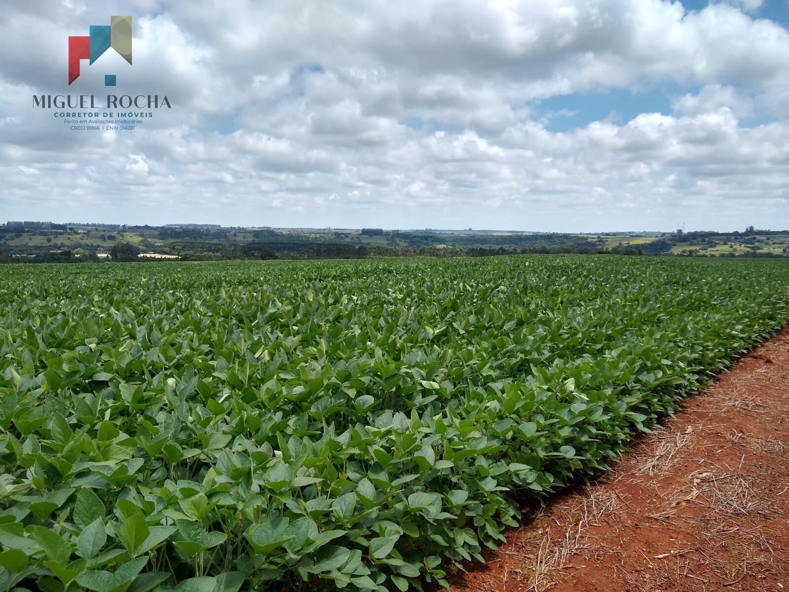 Fazenda à venda, 484000m² - Foto 1