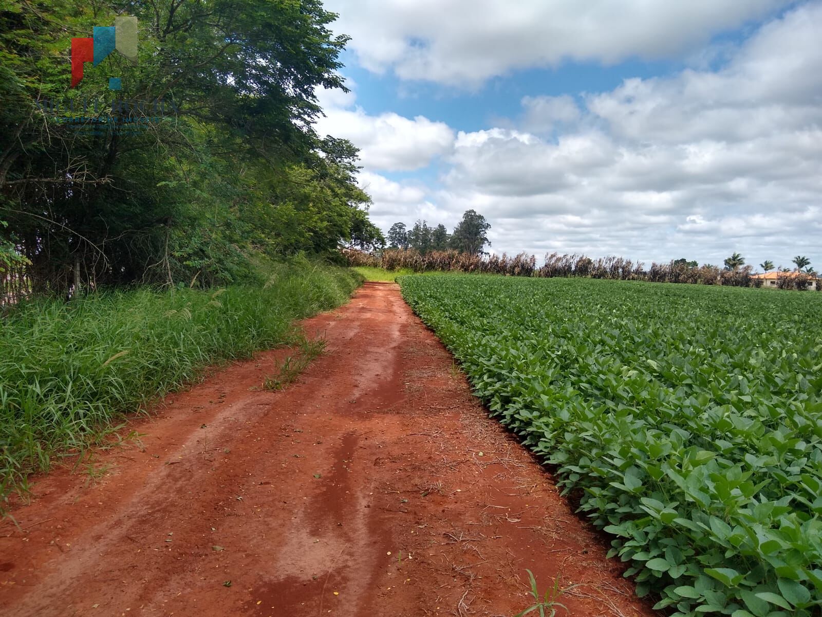 Fazenda à venda, 484000m² - Foto 4