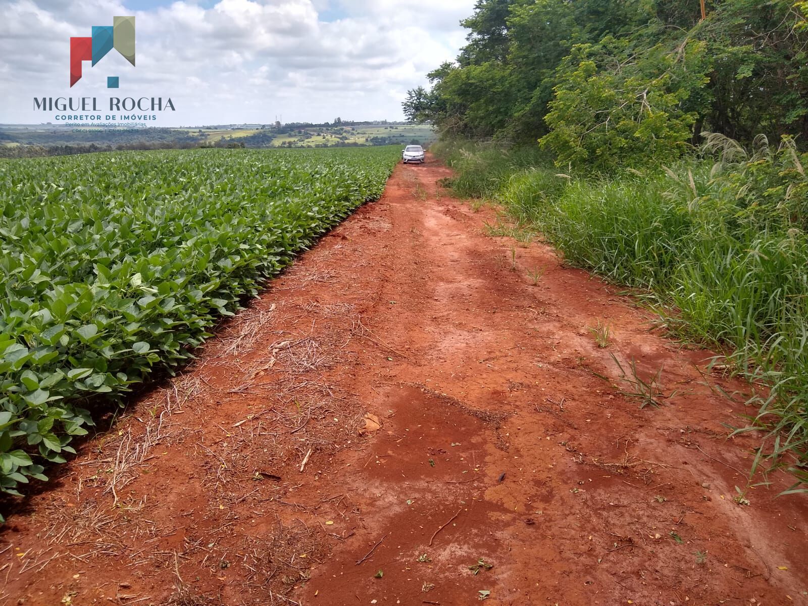 Fazenda à venda, 484000m² - Foto 3